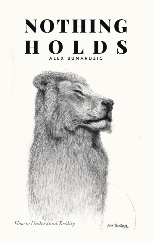Cover of Nothing Holds: How to Understand Reality — a hand-drawn lion in profile