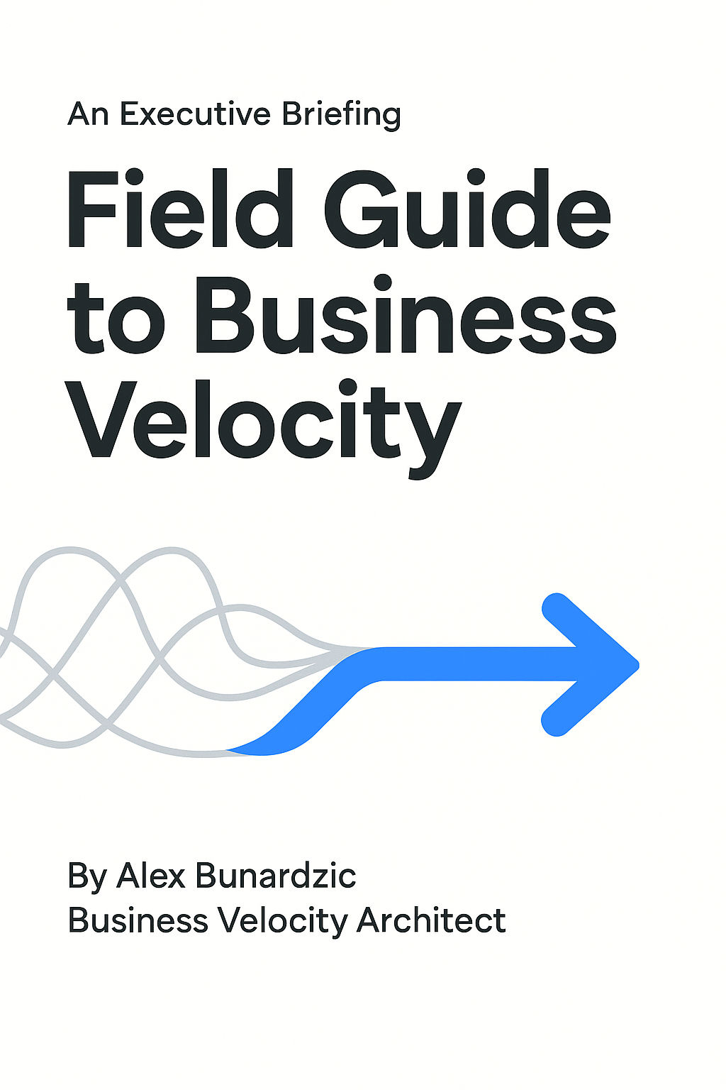 Cover of the Field Guide to Business Velocity