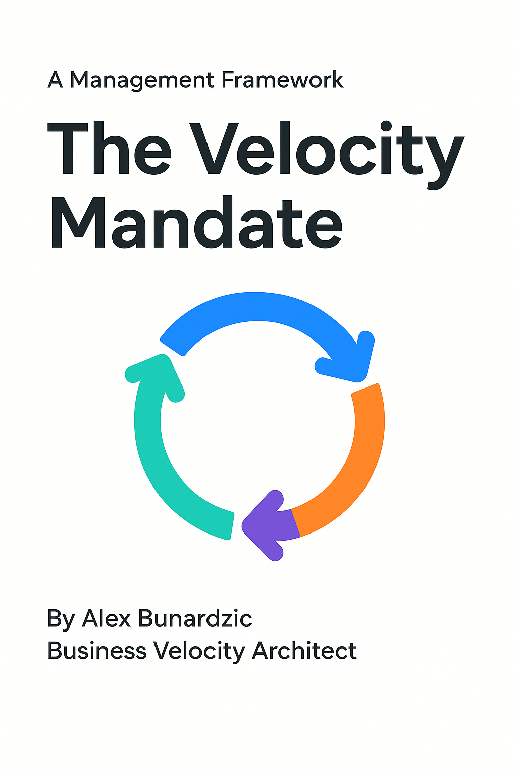 Cover of The Velocity Mandate